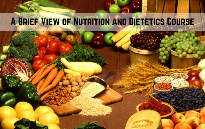A Brief View of Food and Nutrition Course